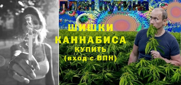 индика Красноперекопск