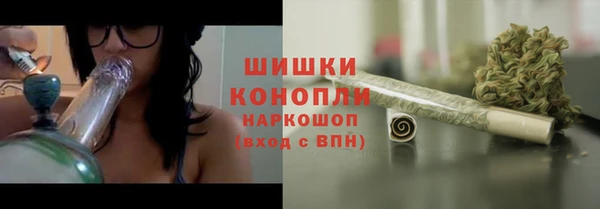 индика Красноперекопск