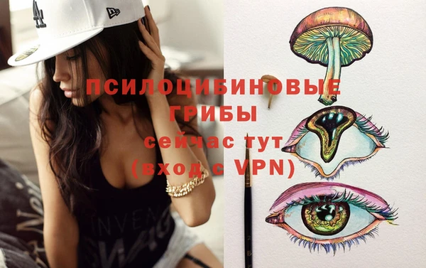 индика Красноперекопск