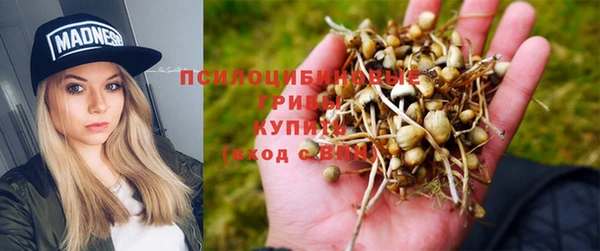 стафф Краснотурьинск