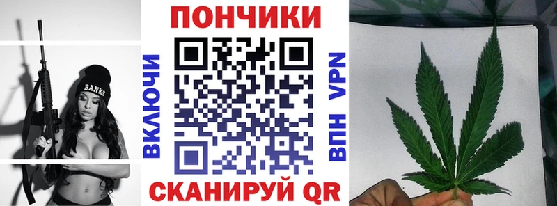 Бошки марихуана гибрид Новошахтинск